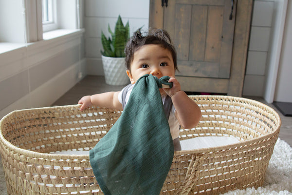 Noble Fir Lovey Teething Blanket