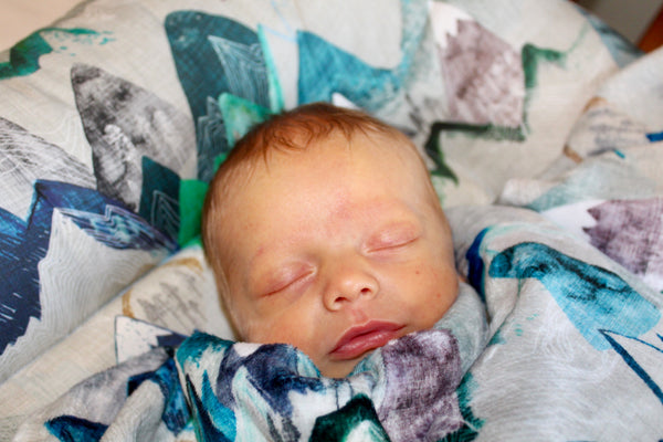Custom Organic Cotton & Faux Minky Blanket